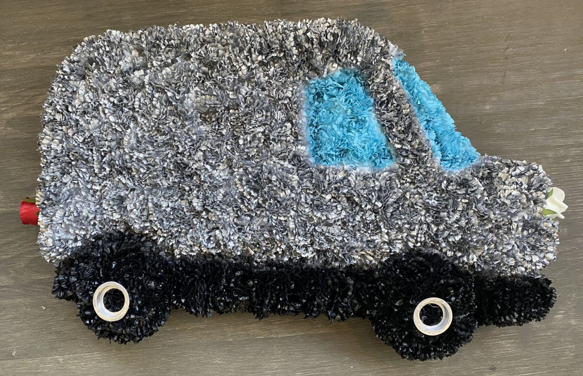 Silver Van 2