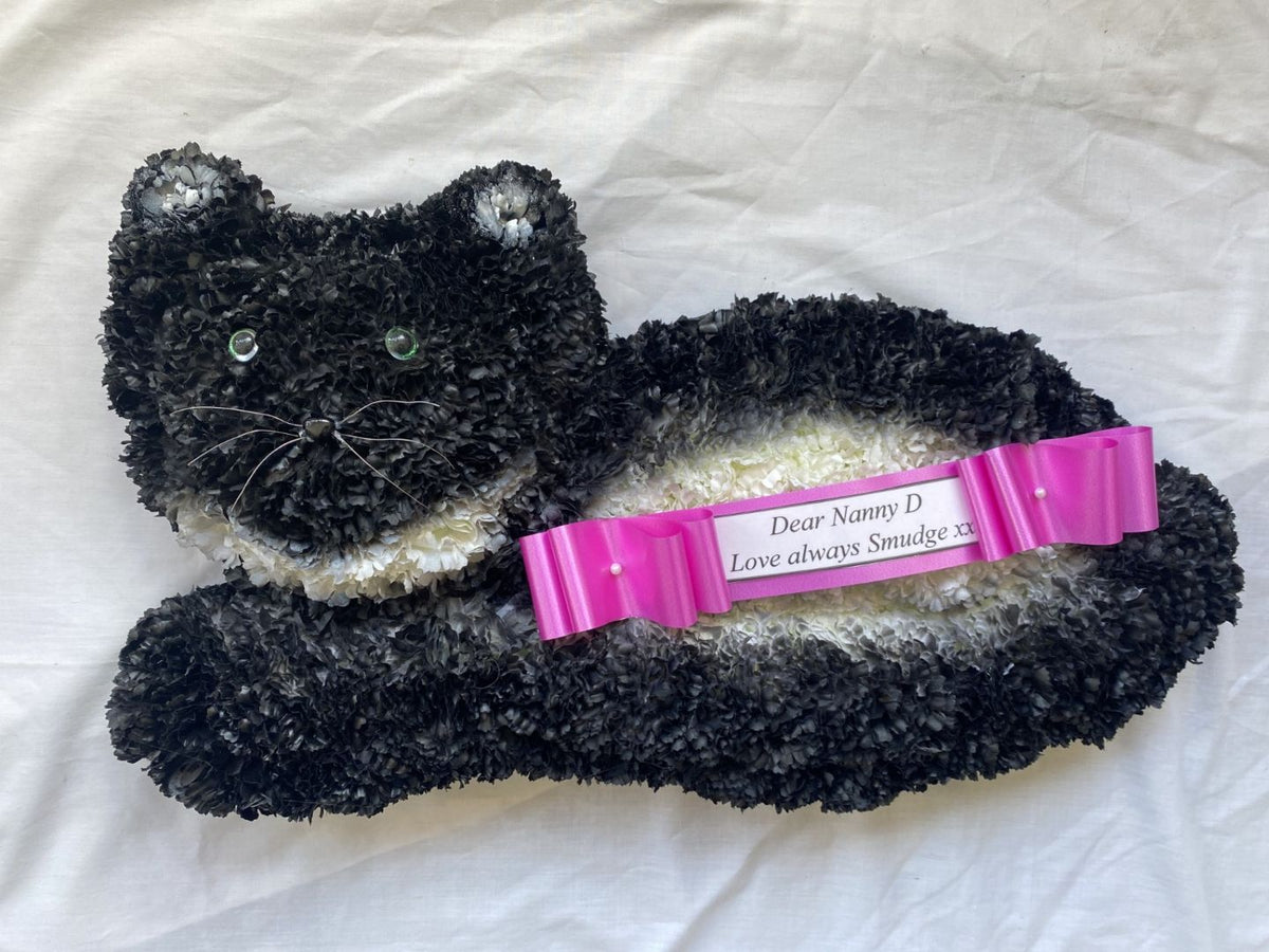 Cat 4