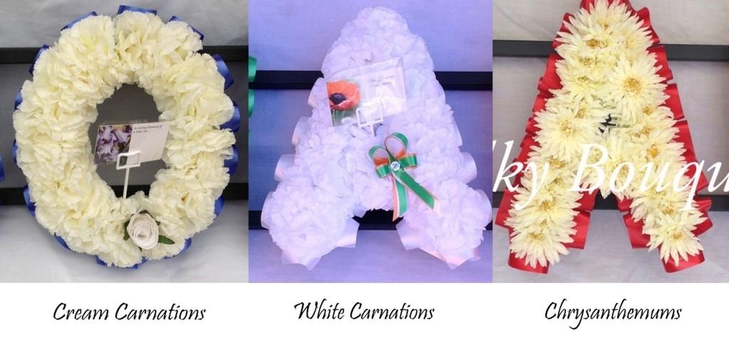 Carnations