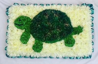 Tortoise Pillow Tribute 4