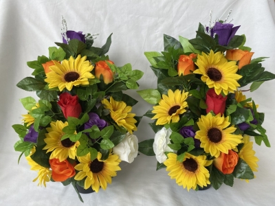 Sunflower Rainbow Pair 1