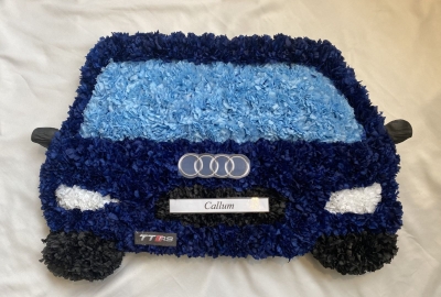 Audi Car