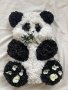 Panda 1