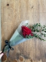 Single Red Rose Valentines