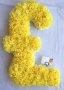 Pound Funeral Tribute Yellow