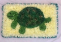 Tortoise Pillow Tribute 2