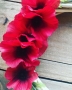 Poppy Wreath Ring Rememberance Day Wicker