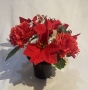 Thumbnail Img 2718