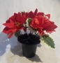 Thumbnail Img 2719