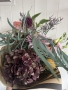 Thumbnail Img 8104
