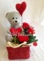 2600 Teddy Bear Bag Valentines Day