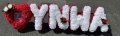 Ynwa Heart 2