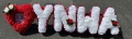 Ynwa Heart 2