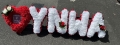 Ynwa Heart