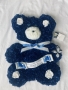 Blue Teddy 1
