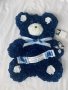 Blue Teddy 3
