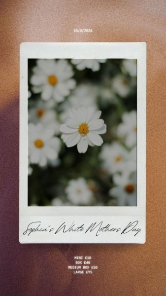 Brown And Beige Happy Birthday Greeting Instagram Story 1