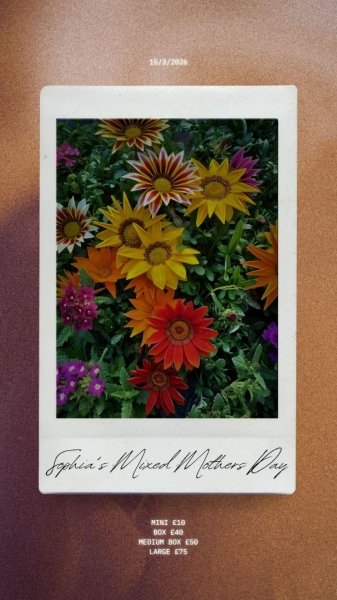 Brown And Beige Happy Birthday Greeting Instagram Story