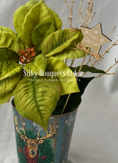 Copy Of Watermark 4
