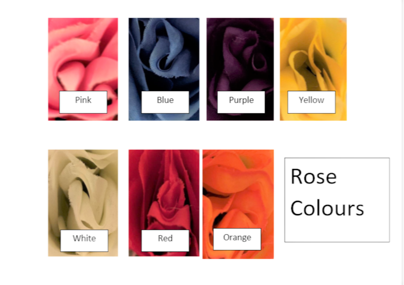 Rose Colours