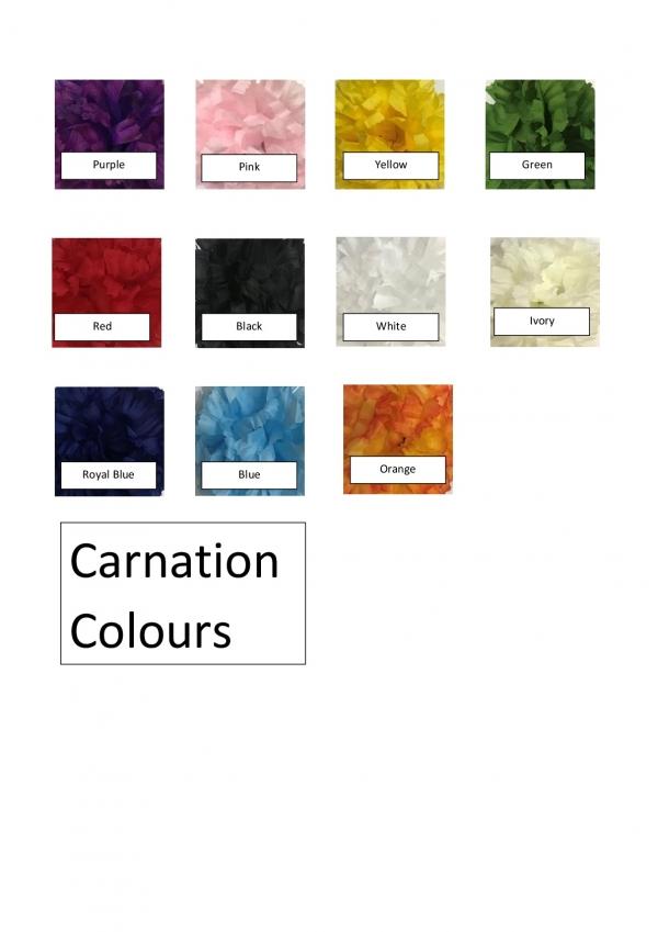 Coloured Carnations