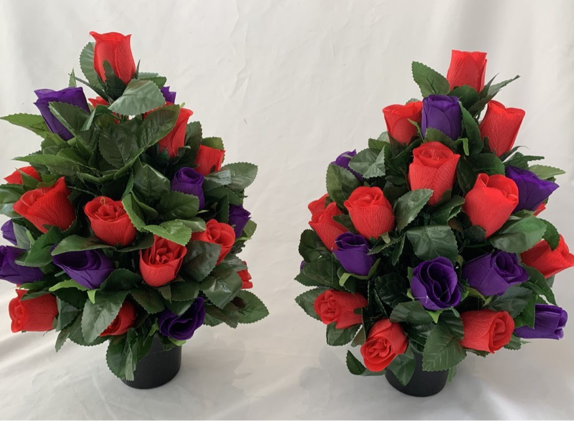 Purple And Red Round Rose