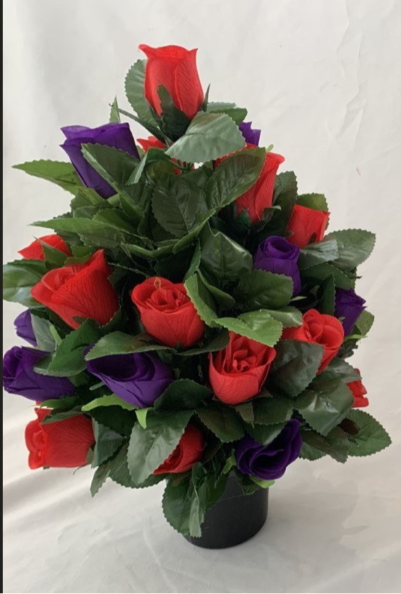 Purple And Red Round Rose