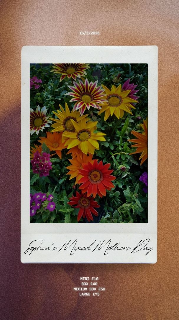 Brown And Beige Happy Birthday Greeting Instagram Story